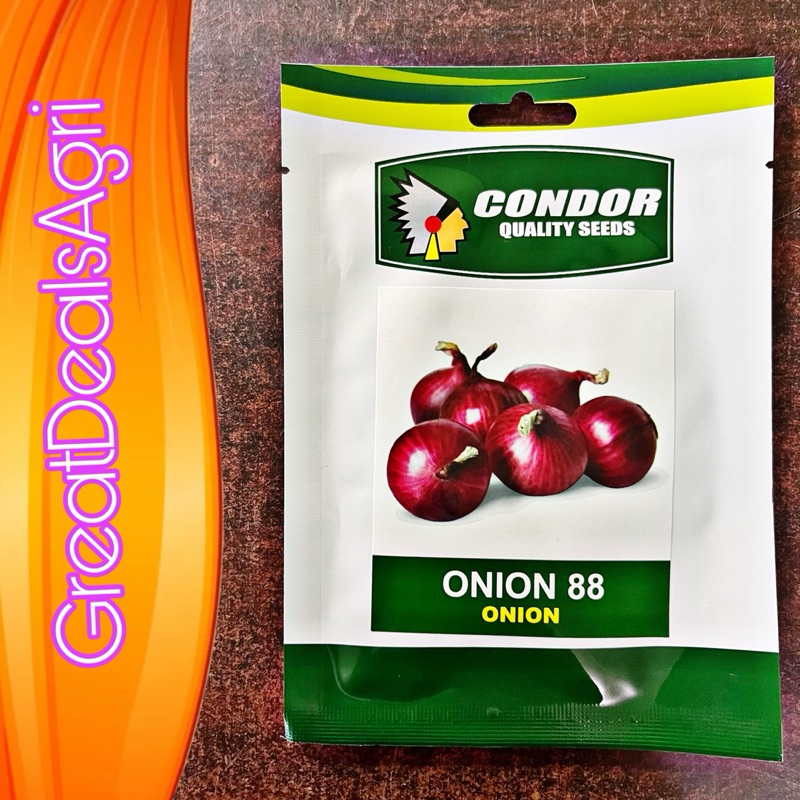 ONION 88 (5 GRAMS) OPV ONION SEEDS BY CONDOR SEEDS | Shopee Philippines