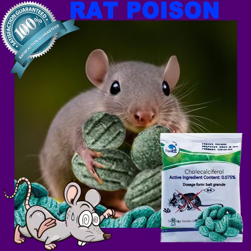 Rat poison for big rats powder rat poison die outside rat killer rat ...