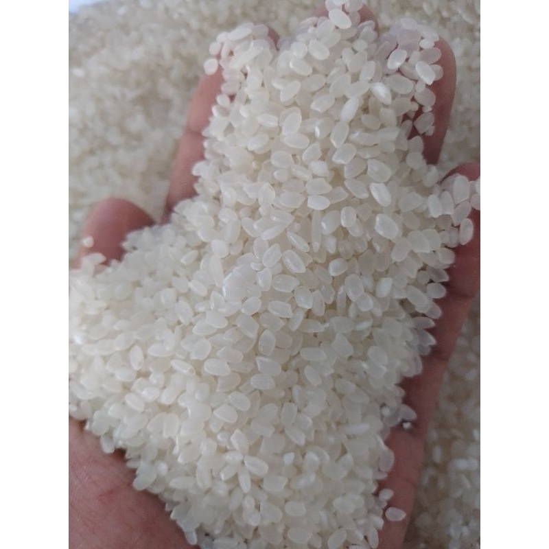 Japanese Rice Sakura 25kg for Sushi, Gimbap, Bimbap | Shopee Philippines