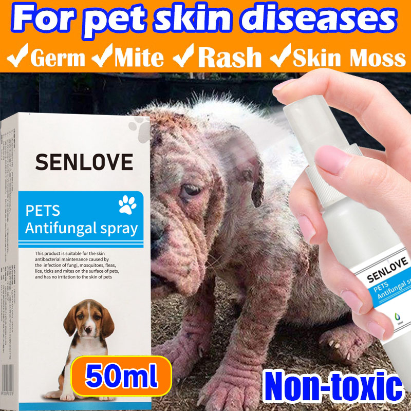 Pet Skin Treatment Spray Gamot Sa Galis Ng Aso Anti Fungal For Dogs ...