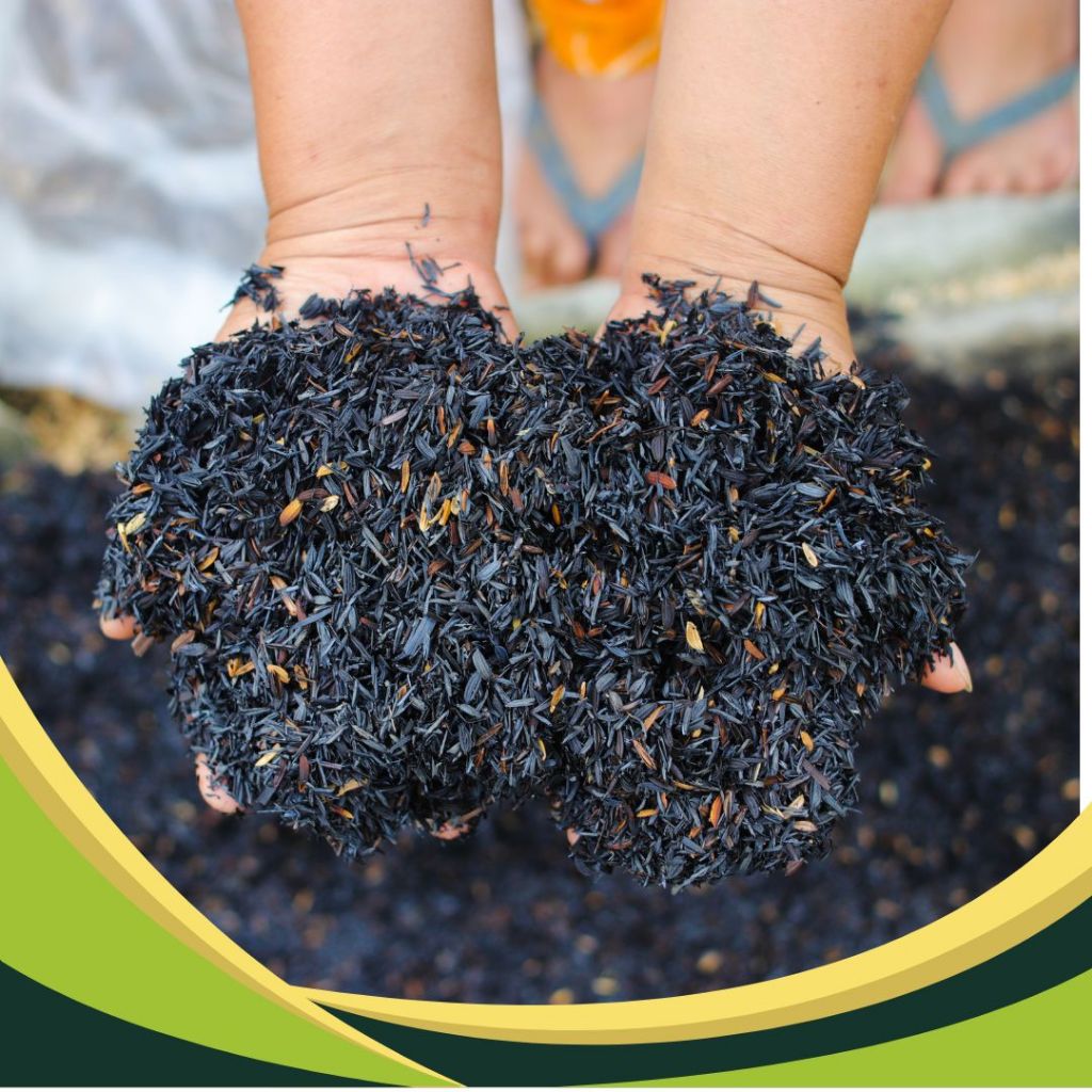 1kg Carbonized Rice Hull (CRH), Ipa Uling, Inuling na ipa for plants ...