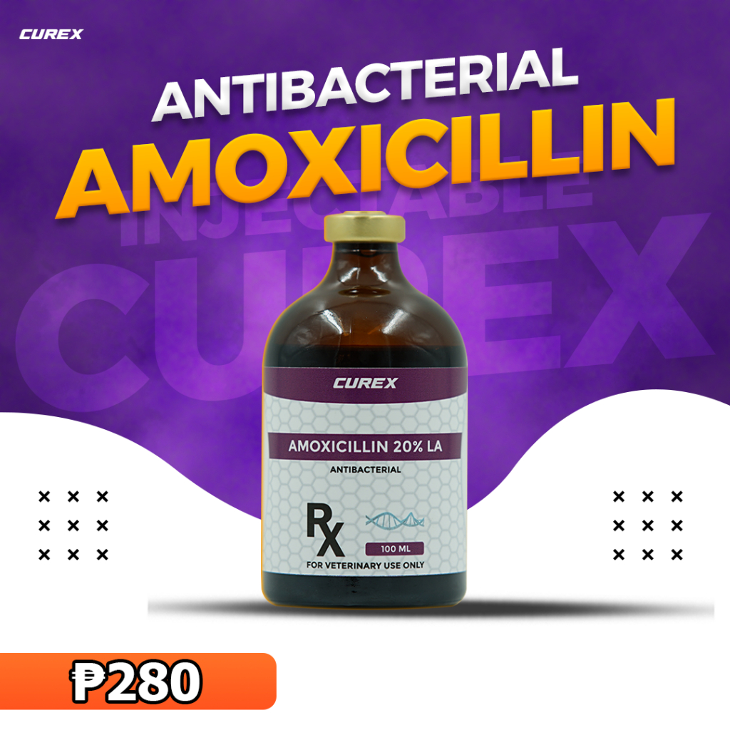 Curex Amoxicillin20%LA for Animal Use Only (Injectable) | Shopee ...