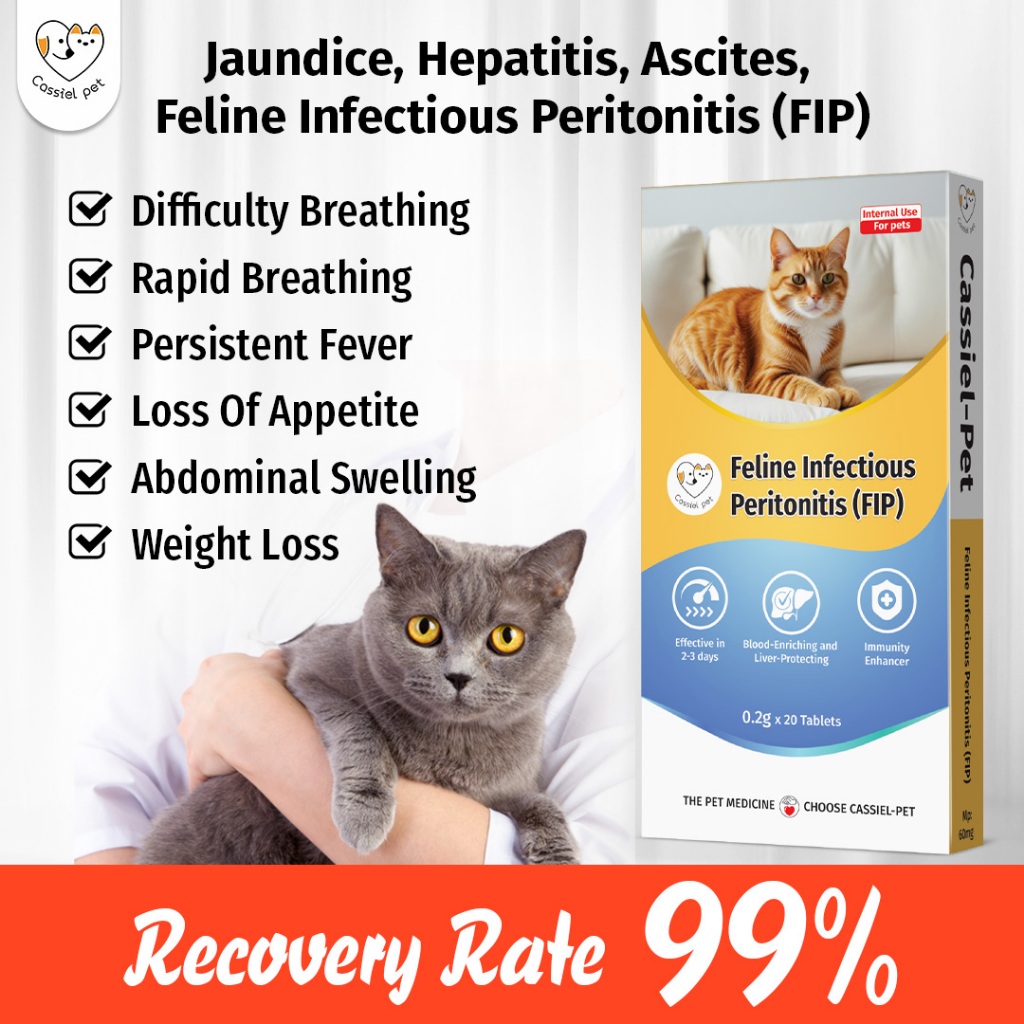 Cancer Medication For Cats With Fever And Weight Loss preview