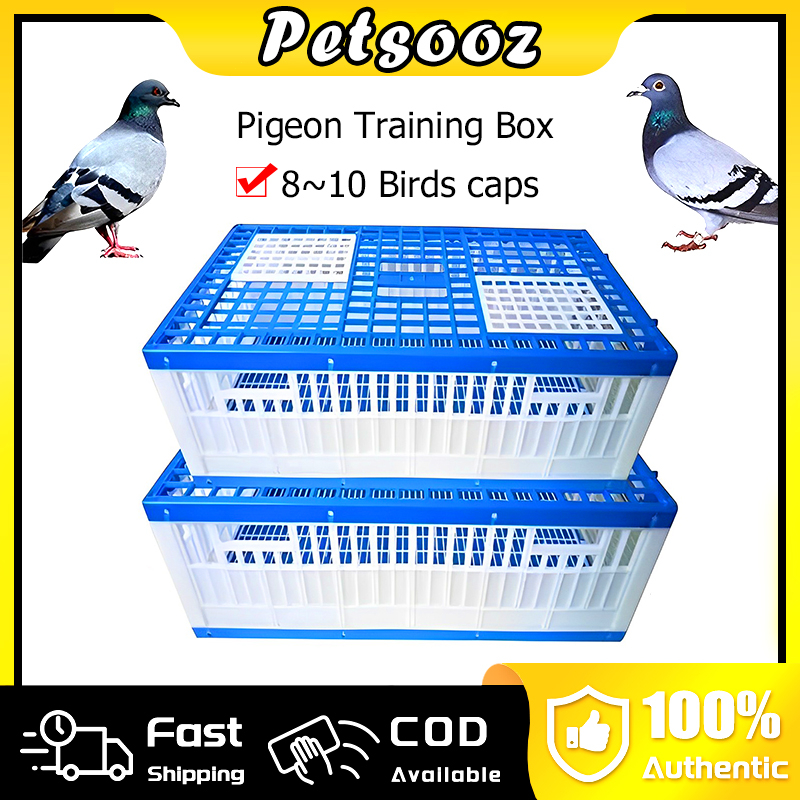 Foldable Pigeon training box Plastic t box Folding bird pigeon cage