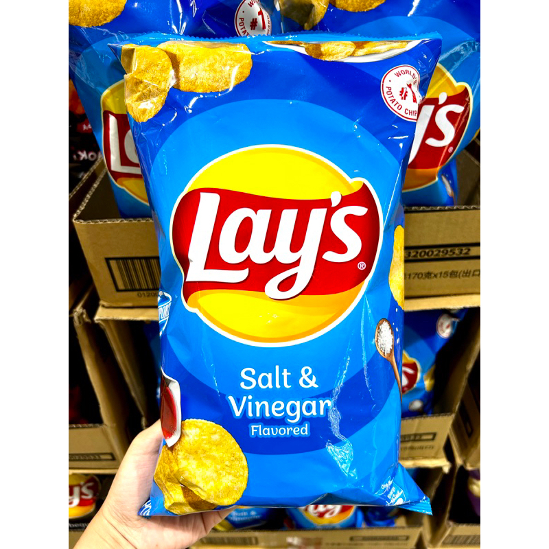 Lay's Salt & Vinegar Potato Chips 180g Shopee Philippines