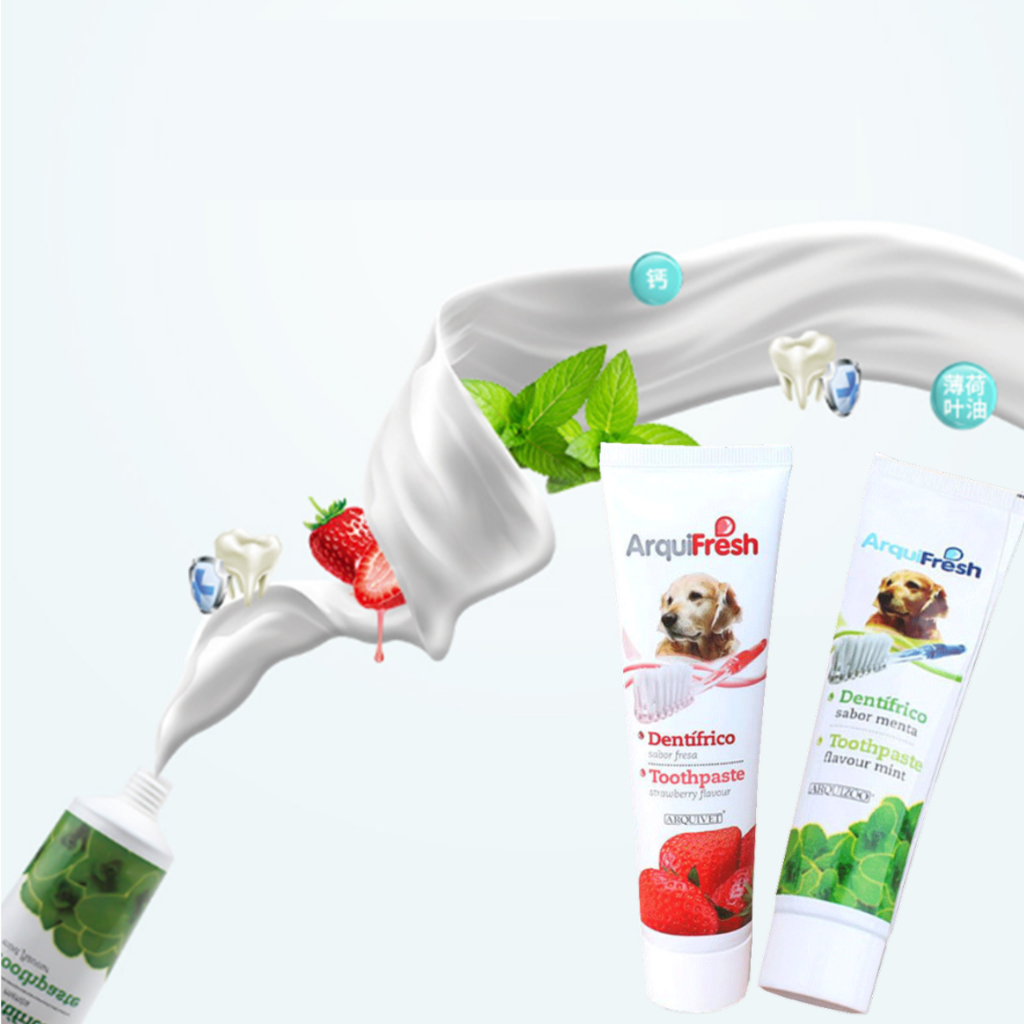 Arquivet Arquifresh Toothpaste Single for Dogs 100g Strawberry