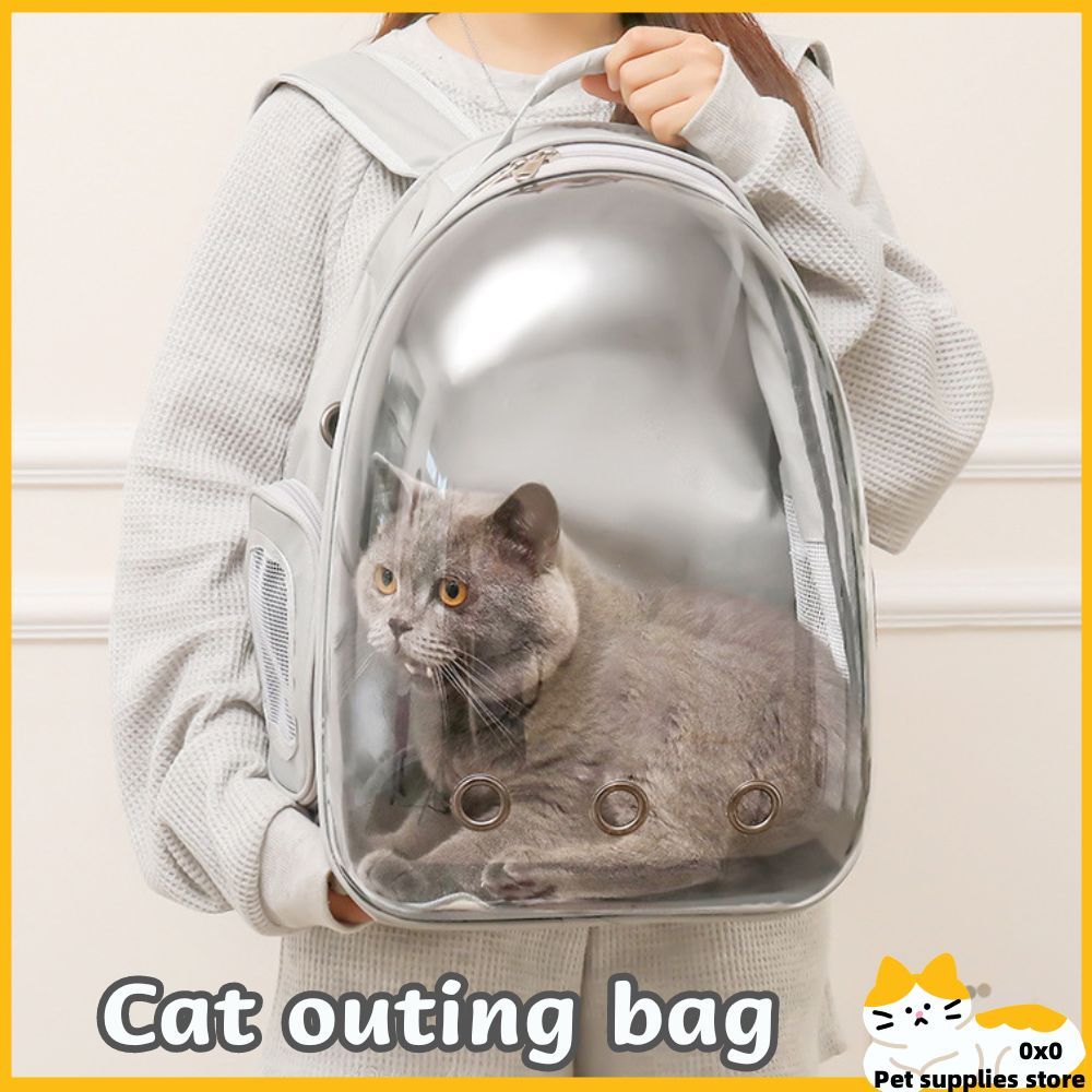 Transparent bag for outlet cat