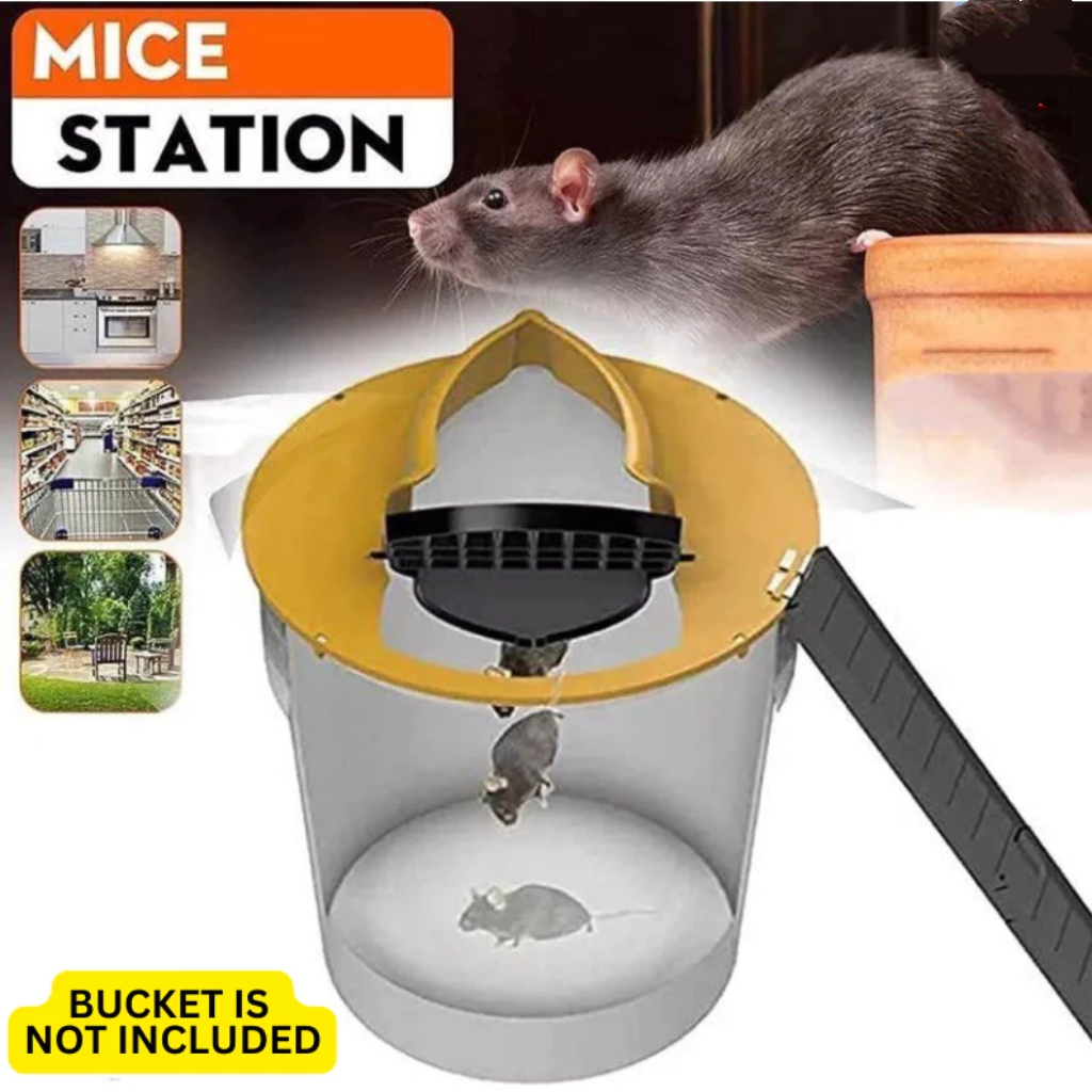 Mouse Bucket Trap Cage Perfect Trap For Big Rats Very Suitable For