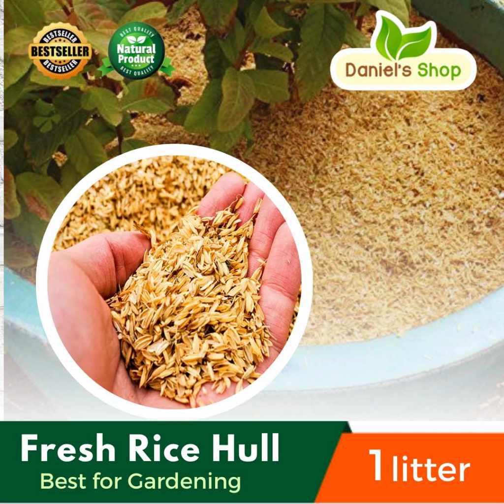 1 kilo Fresh Rice Hull /Ipa ng palay | Shopee Philippines