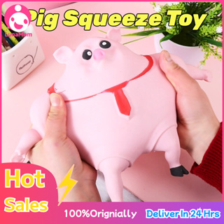  Jimmy The Pig, Squishy Pig, Piggy Squeeze Toy, Pink