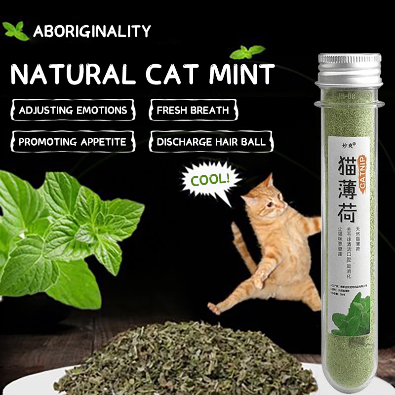 Catnip For Cats Cat Treat Increase Appetite Eliminate Hairballs Relieve