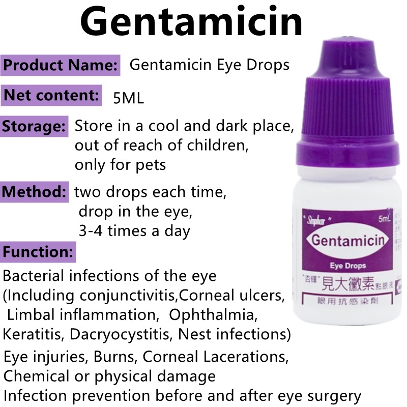 Gentamicin Eye Drops Pet Eye Drops For Cats And Dogs Eye Infection