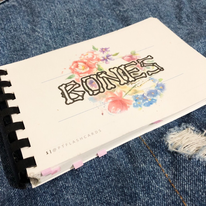 Medical Flashcards Reviewer Premed Books Bones and Anatomy