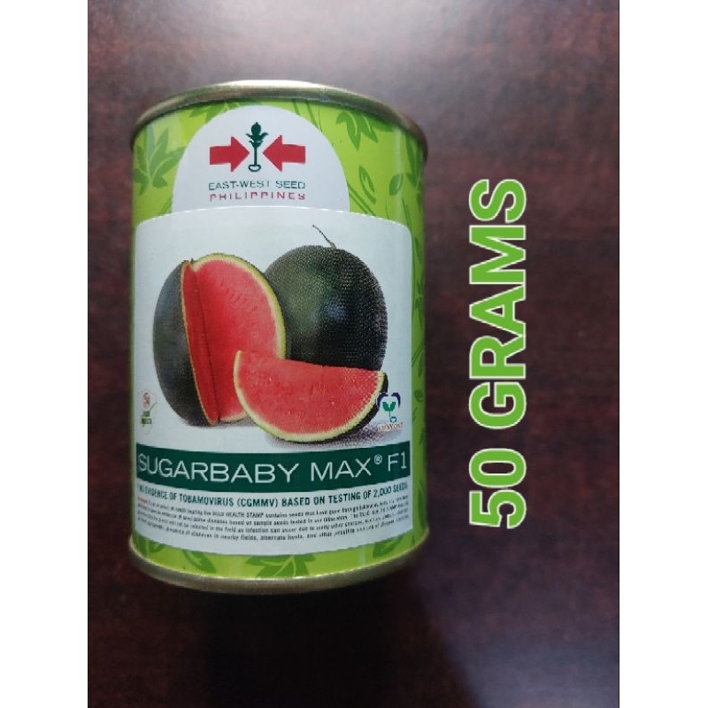 Sugarbaby Max F1 (50 grams) Hybrid Watermelon / Pakwan By East West ...