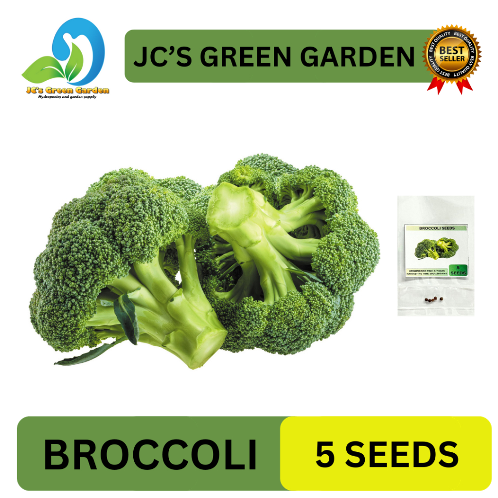 VALUE PACK (5 SEEDS) - F1 BROCCOLI SEEDDS/GREEN TOP VARIETY/HYBRID/FIRM ...