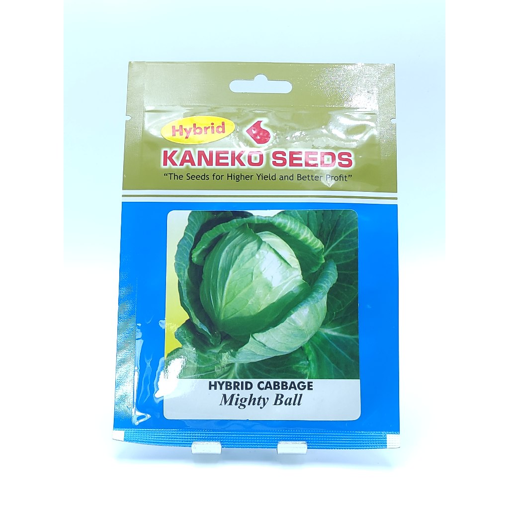KANEKO SEEDS MIGHTY BALL F1 HYBRID CABBAGE SEEDS (1 GRAM) Shopee