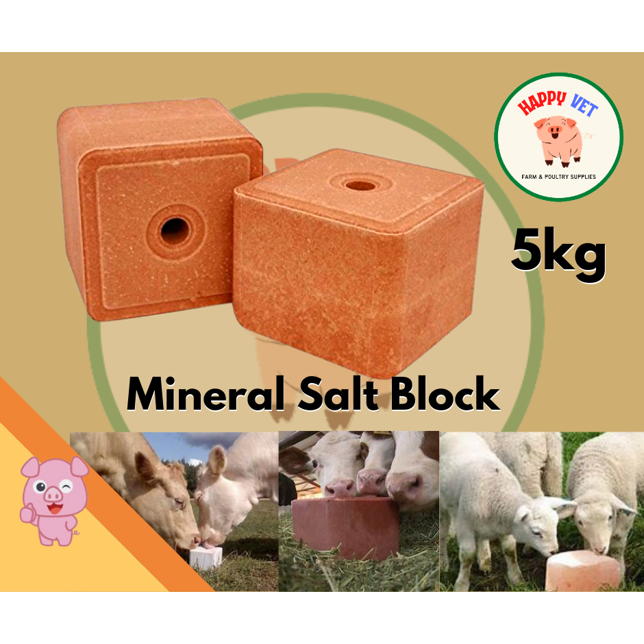 5kg like Warsan Blue Salt Block Mineral for Ruminants Cow Goat Sheep