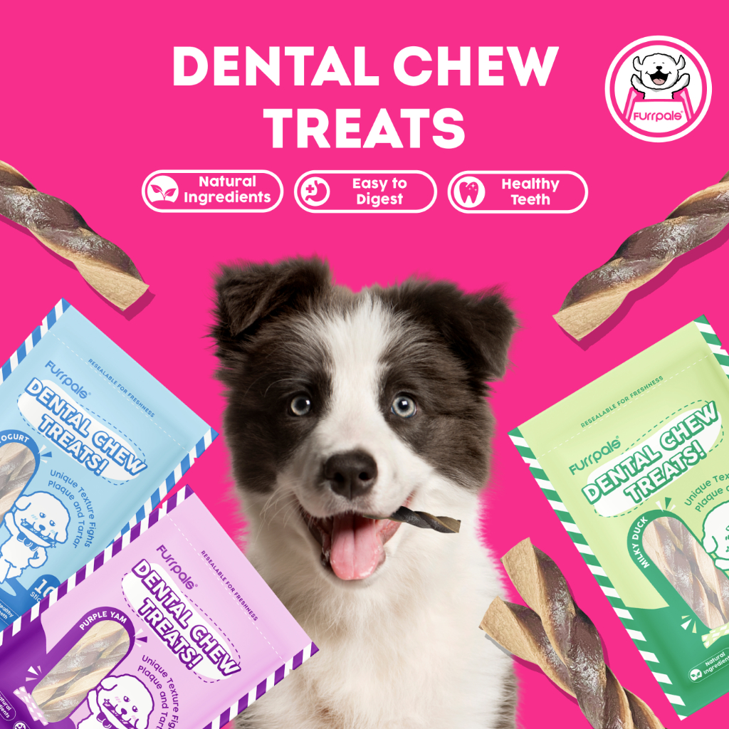 Dental Sticks Dog Treats Dental Chew Removes Tartar Build Up and Plaques  Freshens Breath 100g