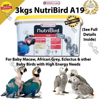 A19 parrot food sale