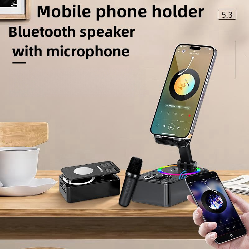 Portable Professional Karaoke Wireless Bluetooth Speaker With Wireless ...
