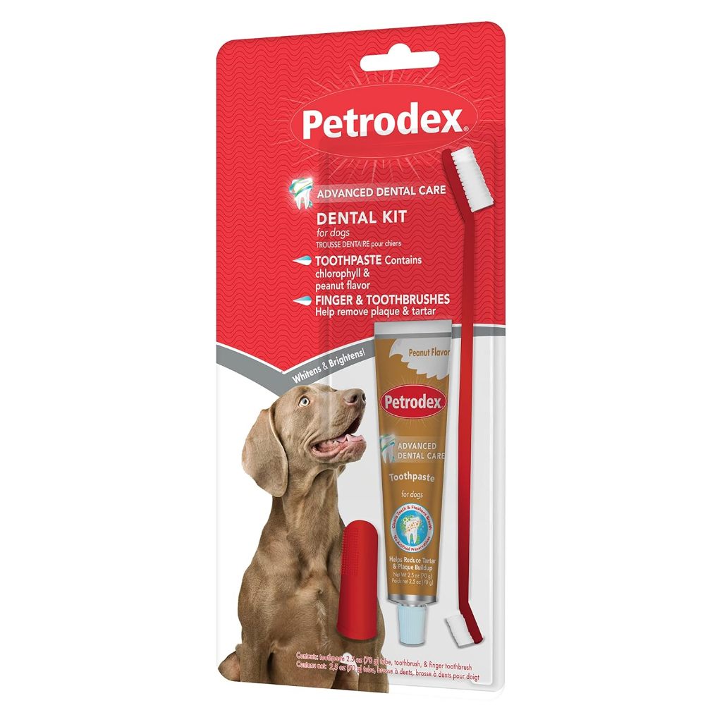 Canine toothpaste sale