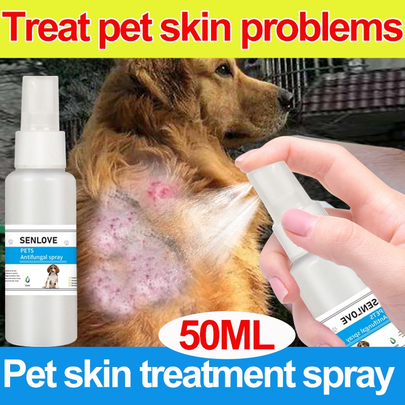 Pet Skin Treatment Spray Dog Spray For Skin Disease Pet Anti fungal ...