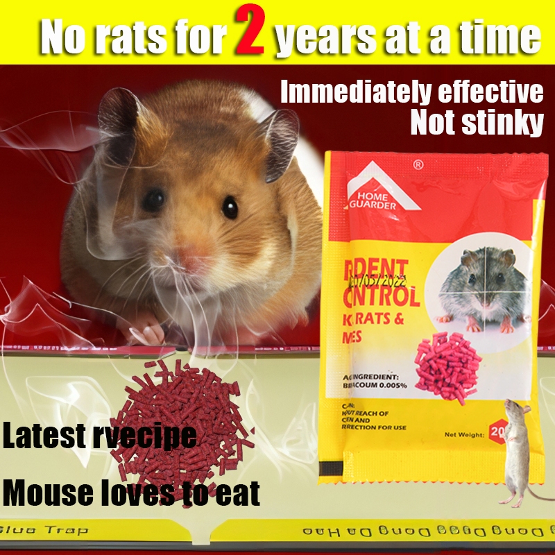 Powerful rat poison, the best product to prevent rats and kill rats, no ...