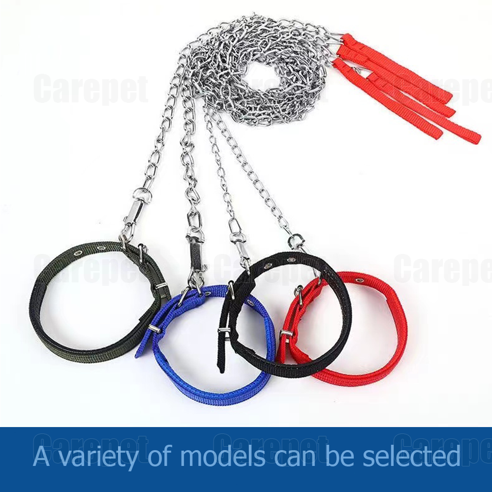 Shop dog leash chain for Sale on Shopee Philippines