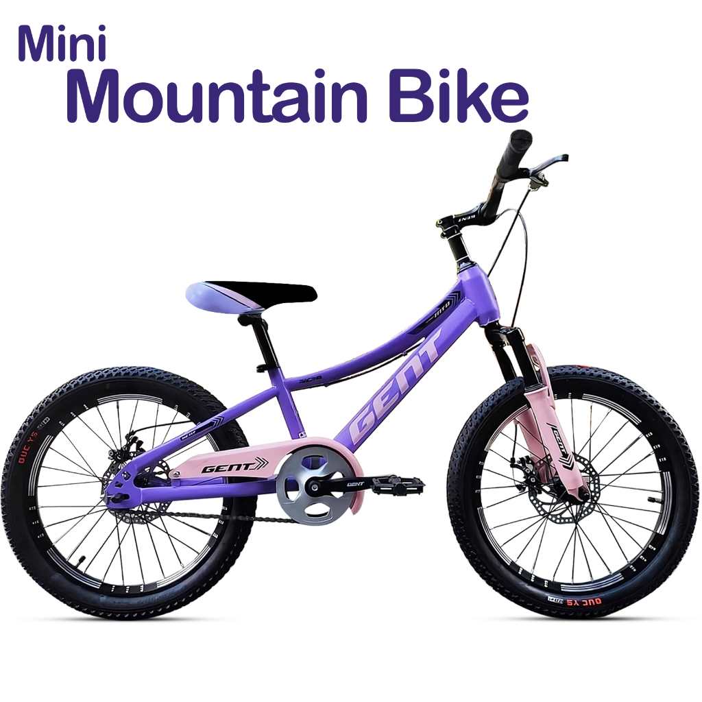 Japan Mountain Bike Adult Bicycle Color Steel Frame For Young Students ...