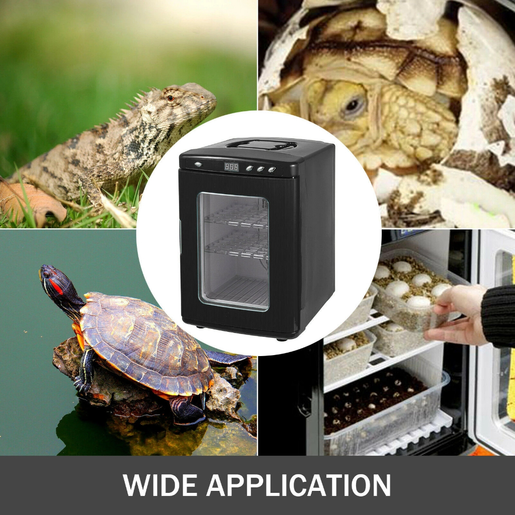 Hatch Box Snake Lizard Reptile Egg Hatching Eggs Device Climbing Pet ...