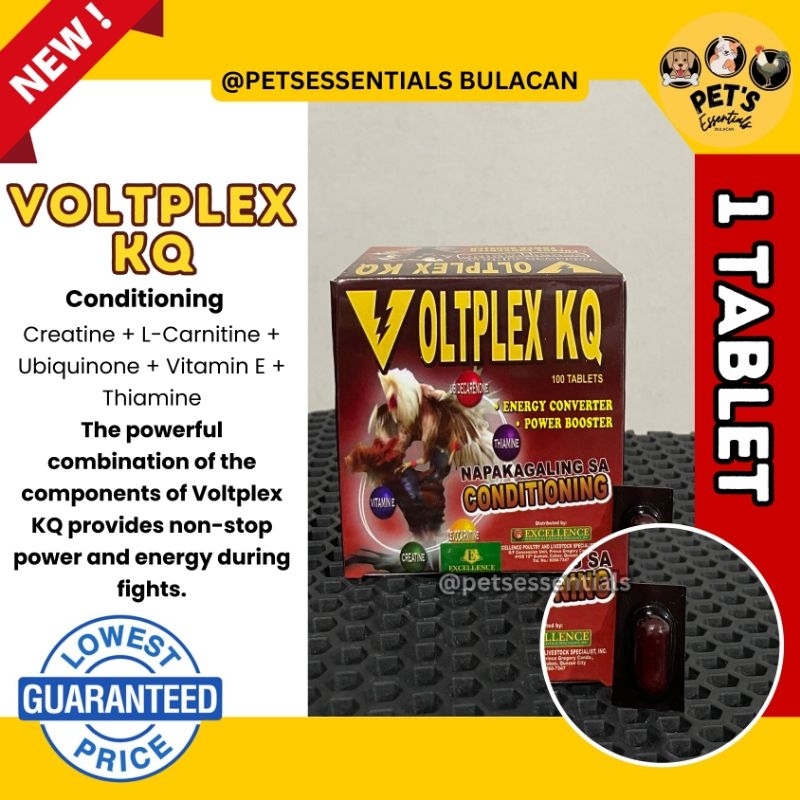 Voltplex KQ 1-TABLET ONLY | Shopee Philippines