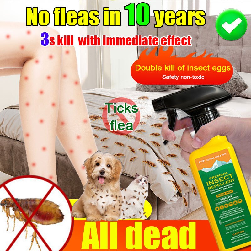 Flea killer spray double kill with immediate effect Bed Bug and Dust