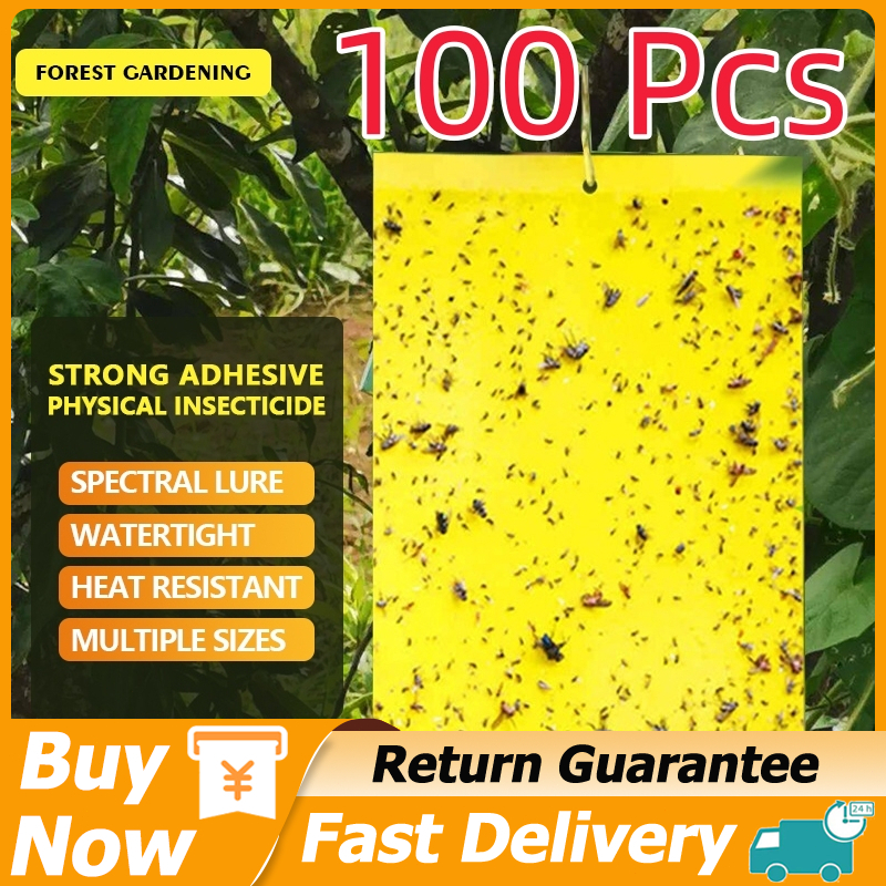 50Pcs Sticky Fly Traps Traps Roach Bait Roach Motel Cockroach Dual ...
