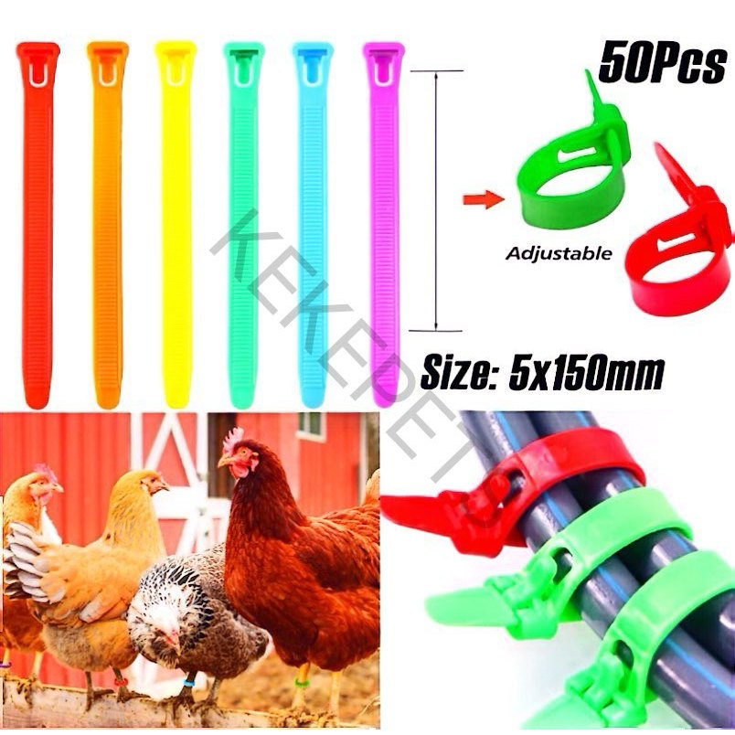 50Pcs Chicken foot ring Adjustable leg bands Poultry foot rings for ...