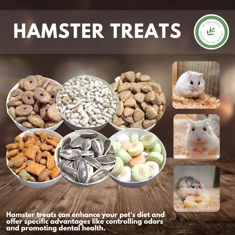 Hamster food treats best sale