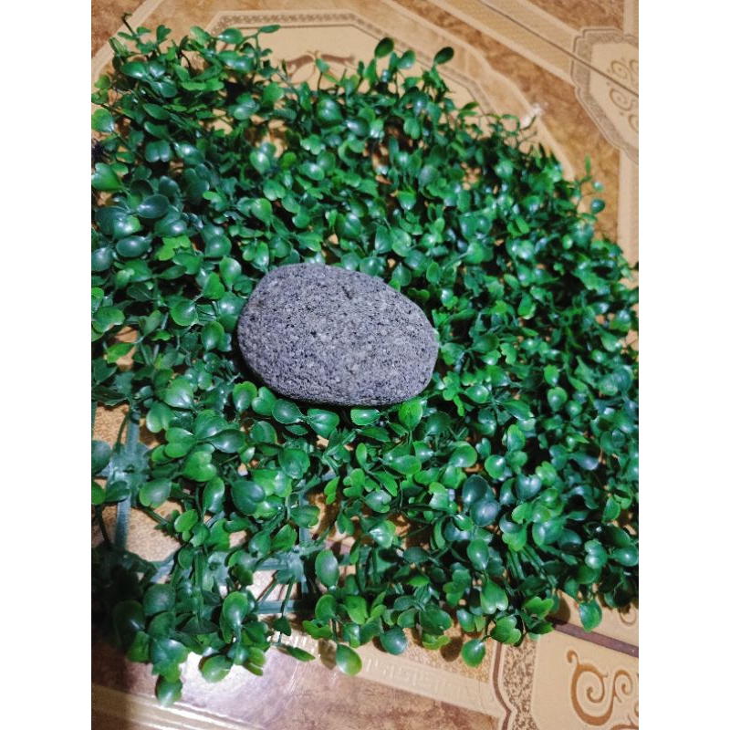 batong panghilod for teens(medium) | Shopee Philippines