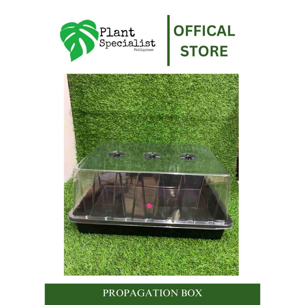 Hard Plastic Propagation Box / Seedling Box | Shopee Philippines