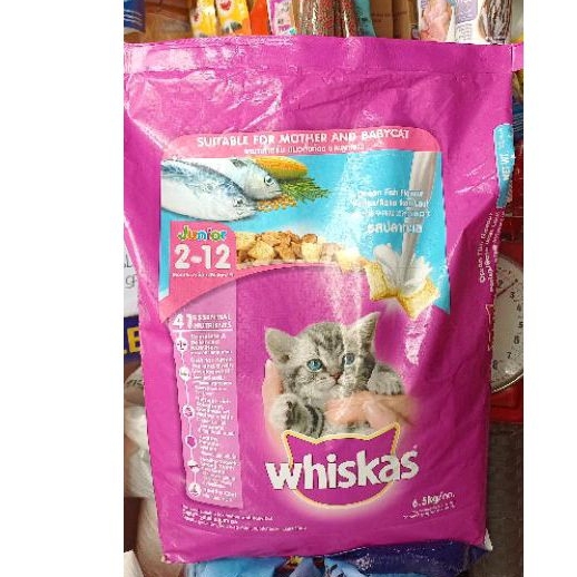 WHISKAS JUNIOR 212 months OCEAN FISH (6.5kg) Shopee Philippines