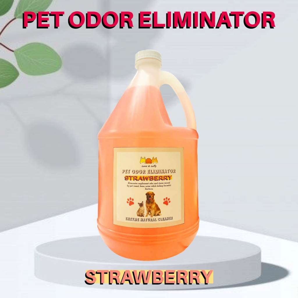1 G Pet Odor Eliminator Enzyme disinfectant Dog and Cat Poop & Pee