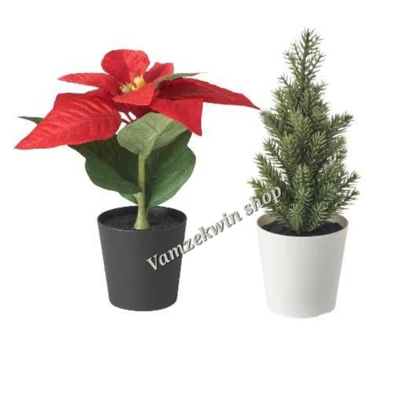 Artificial Ikea Poinsettia/red,/ Christmas tr3, 6 cm (2 ¼ ") Shopee
