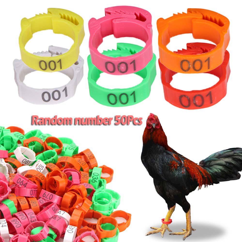 50/100pcs chicken foot ring chicken leg band ring multicolor poultry
