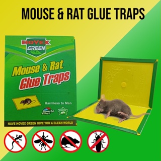 Large Mouse Sticky Pads China Black Sticky Rat Board Mat Glue Trap Adhesive Mice  Mouse for Pest Control Rodents Snake - China Glue Book and Rat Glue Book  price