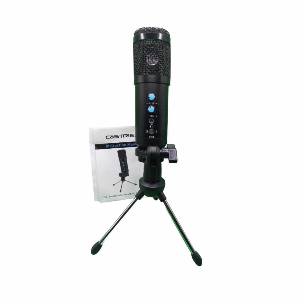 Sensitive Pickup Pure Sound Mic USB Condenser Microphone | Shopee ...