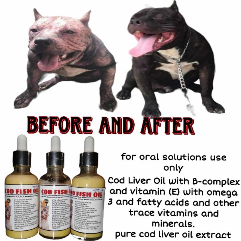 cod liver oil with b complex omega 3 for dogs and cats Shopee Philippines