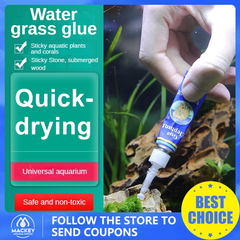 Aquarium Glue Landscape Moss Aquatic Plant Fixed Adhesive Transparent