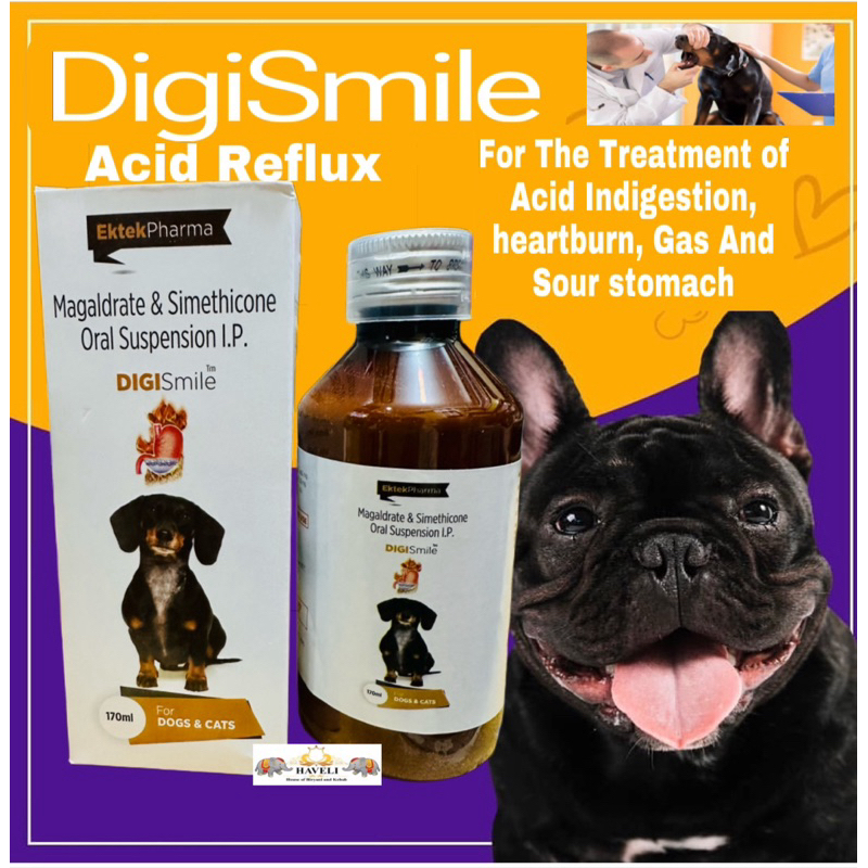 EkTek Pharma Digismile Syrup Antacid HeartBurn For Dogs And Cats 170ML Shopee Philippines