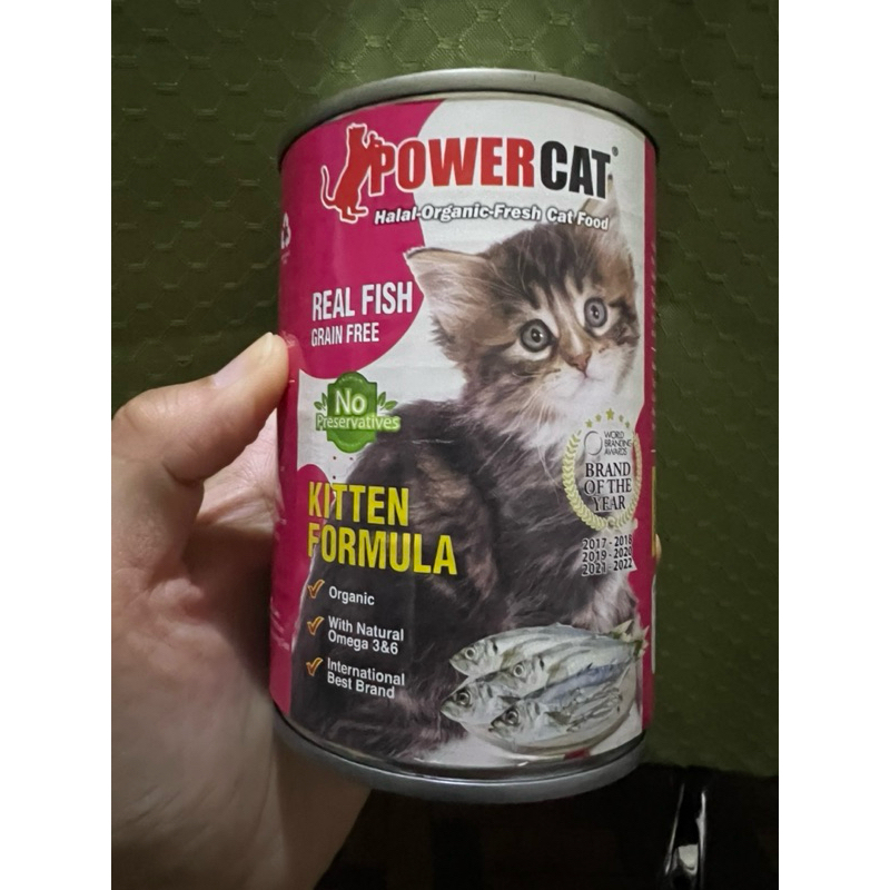 Best wet hotsell cat food 2018