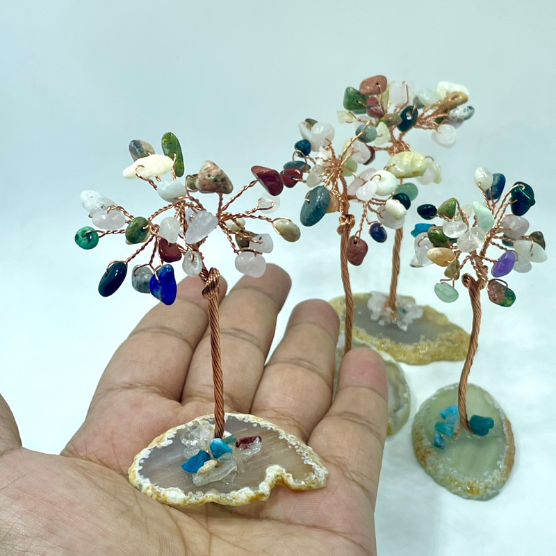 All in One Mixed Stones Mini Money Tree | Shopee Philippines