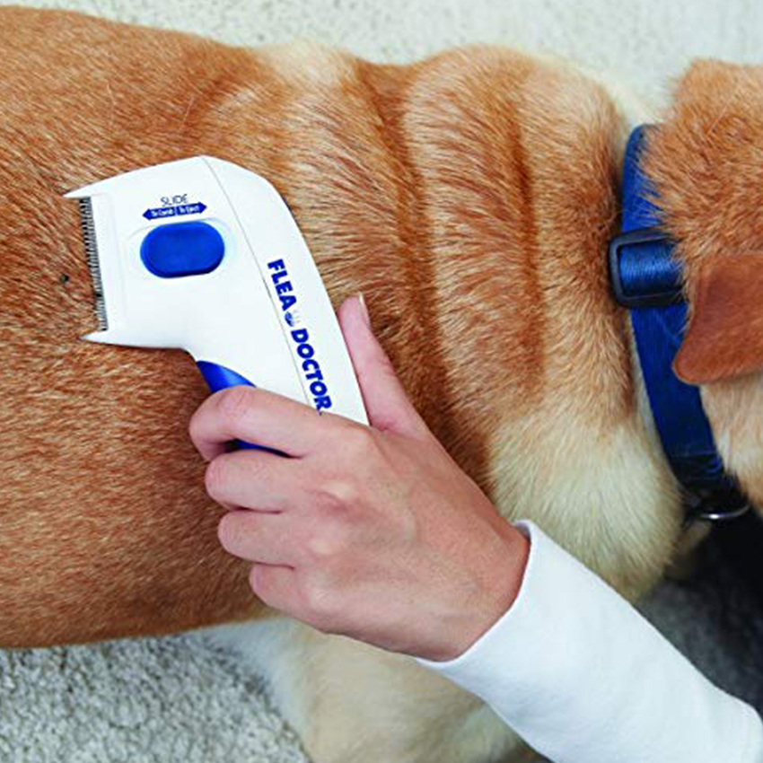 Flea Doctor ELECTRIC Lice Comb Remover Flea Comb Cat Dog Grooming Comb