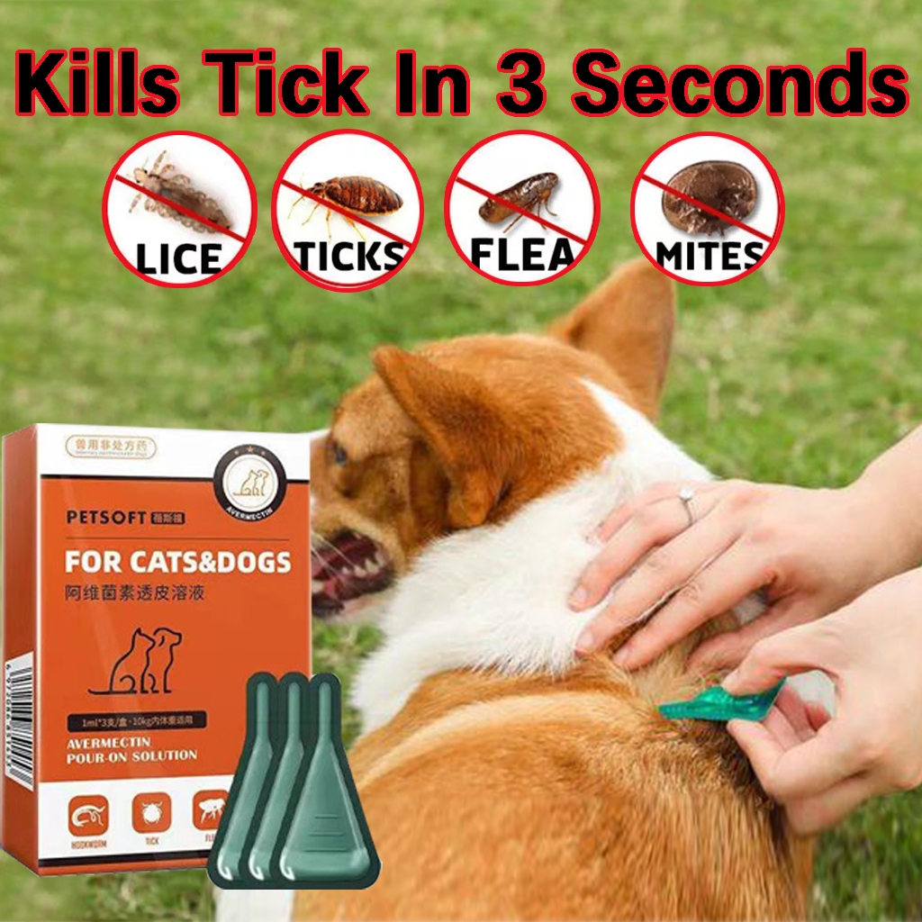 Tick and Flea Remover For Dog Garapata Remover For Dog Mites/Lice ...